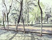 Trees And Fountain  1984